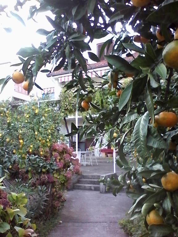 Апартаменты Apartments Budva Center 2 Будва-67