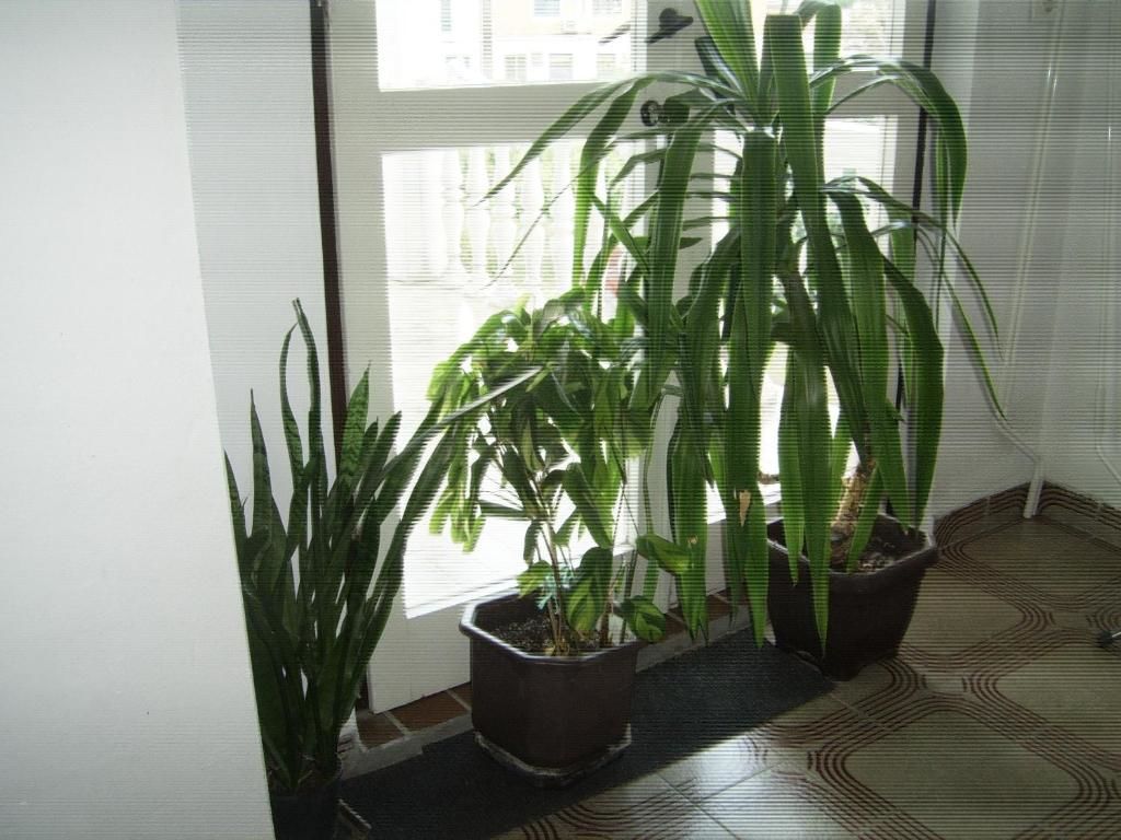 Апартаменты Apartments Budva Center 2 Будва