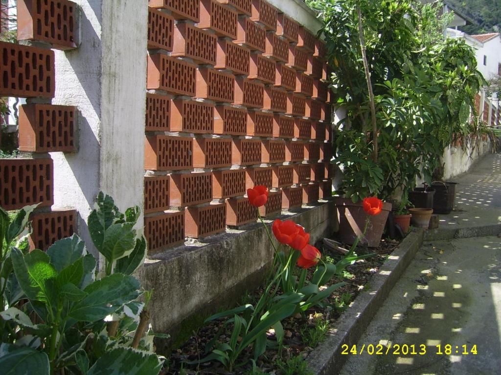 Апартаменты Apartments Budva Center 2 Будва-102