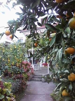 Апартаменты Apartments Budva Center 2 Будва Апартаменты с 2 спальнями и балконом-19