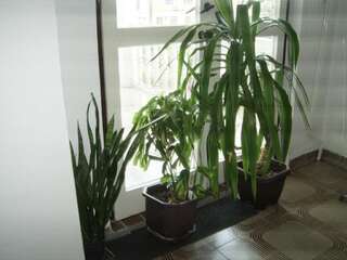 Апартаменты Apartments Budva Center 2 Будва Номер-студио с балконом-16