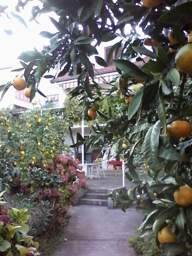 Апартаменты Apartments Budva Center 2 Будва-66