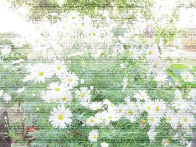 Апартаменты Apartments Budva Center 2 Будва-79